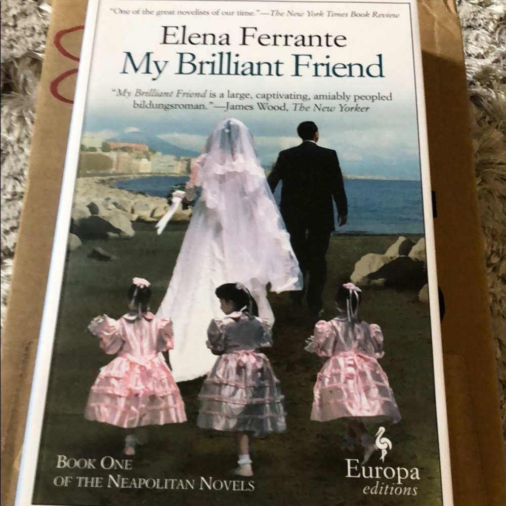NEW my brilliant friend